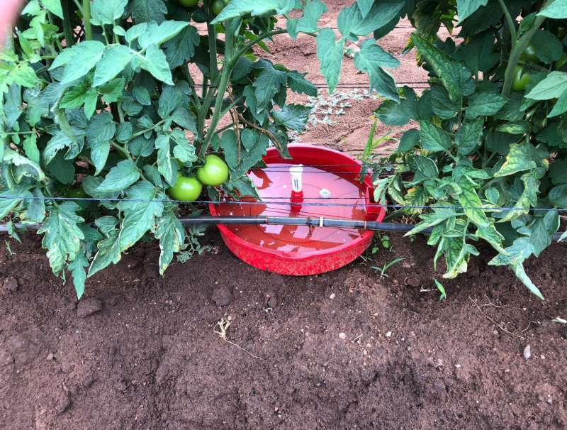 Water Insect Trap Image